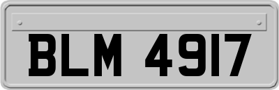 BLM4917