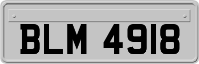BLM4918