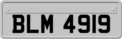 BLM4919