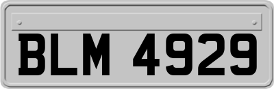 BLM4929