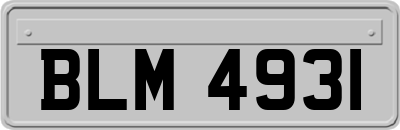 BLM4931