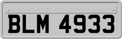 BLM4933
