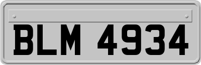 BLM4934