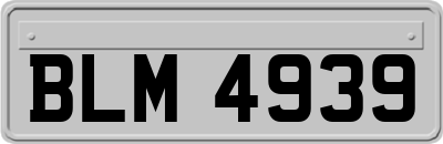 BLM4939
