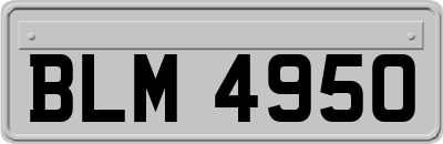 BLM4950