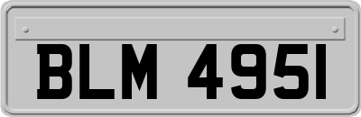 BLM4951