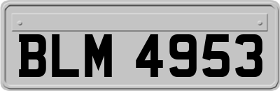 BLM4953