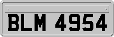 BLM4954