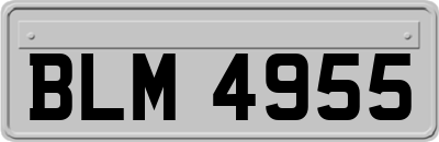 BLM4955