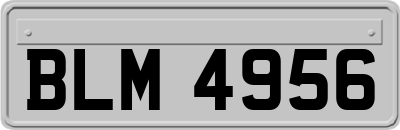 BLM4956