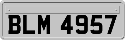 BLM4957