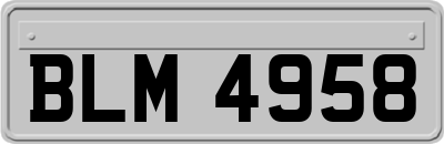 BLM4958