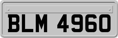 BLM4960