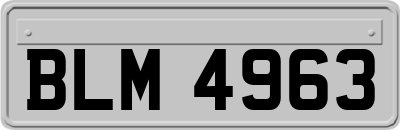 BLM4963