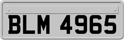 BLM4965