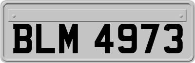 BLM4973