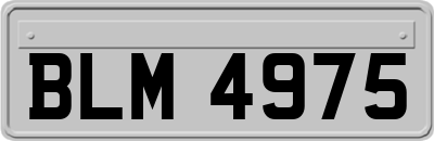 BLM4975