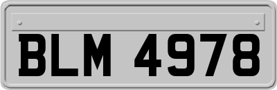 BLM4978
