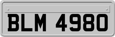 BLM4980