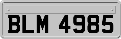 BLM4985