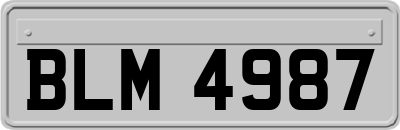 BLM4987