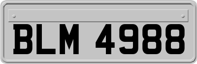 BLM4988