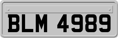 BLM4989