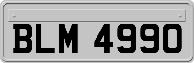 BLM4990