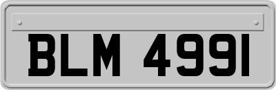 BLM4991