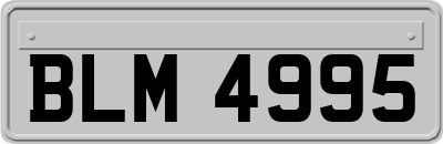 BLM4995