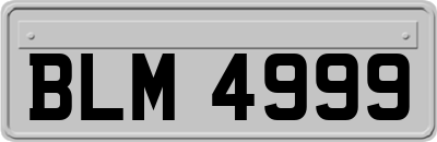 BLM4999
