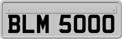 BLM5000