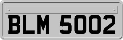 BLM5002