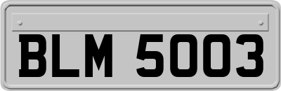 BLM5003