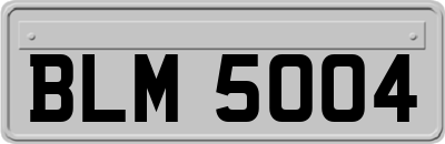 BLM5004