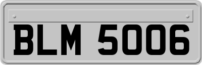 BLM5006