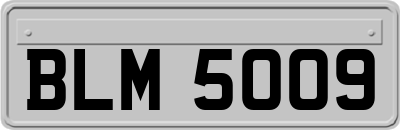 BLM5009