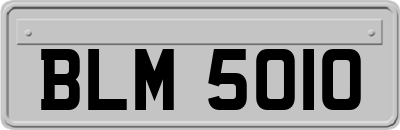 BLM5010