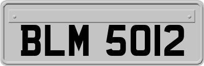 BLM5012