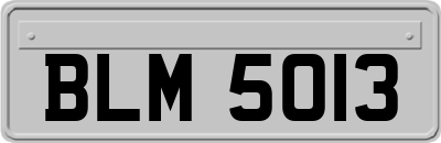 BLM5013