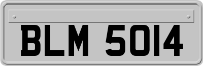 BLM5014