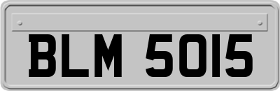 BLM5015
