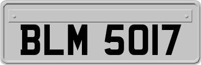 BLM5017