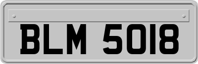 BLM5018