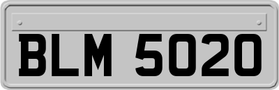 BLM5020