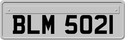 BLM5021