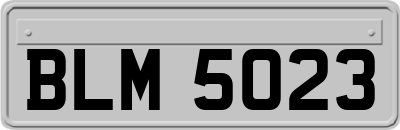 BLM5023