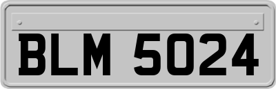 BLM5024
