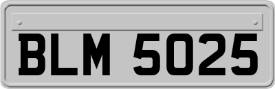 BLM5025