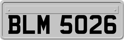 BLM5026